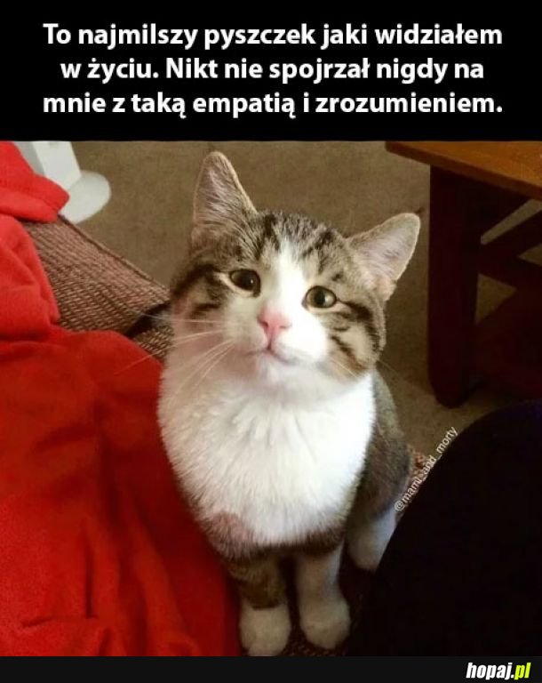 Najmilszy pyszczek świata