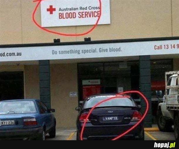 Po prostu lubię pracę w stacji krwiodawstwa
