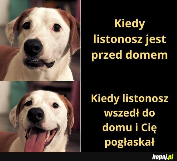 No jak pogłaskał to znaczy, że jest spoko