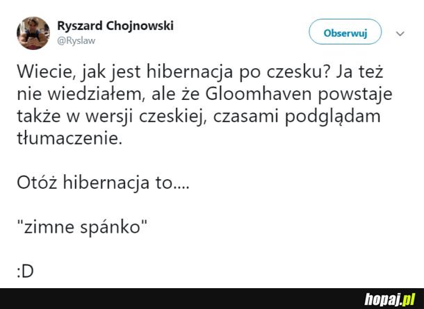 Czeski język