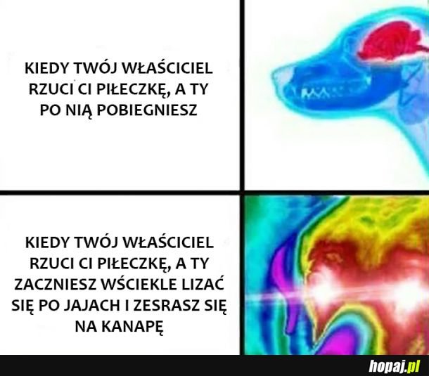 Tak lepiej 