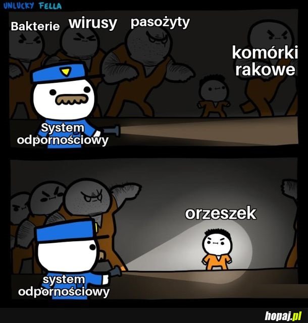I za dużo nabiału