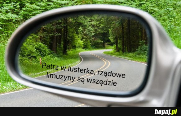 RZĄDOWE LIMUZYNY