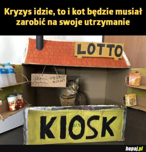 Nie ma że boli