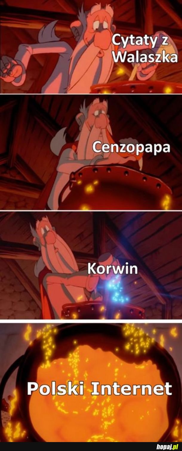 Polski internet