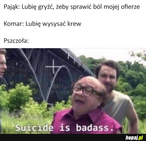Pszczoły to kamikadze