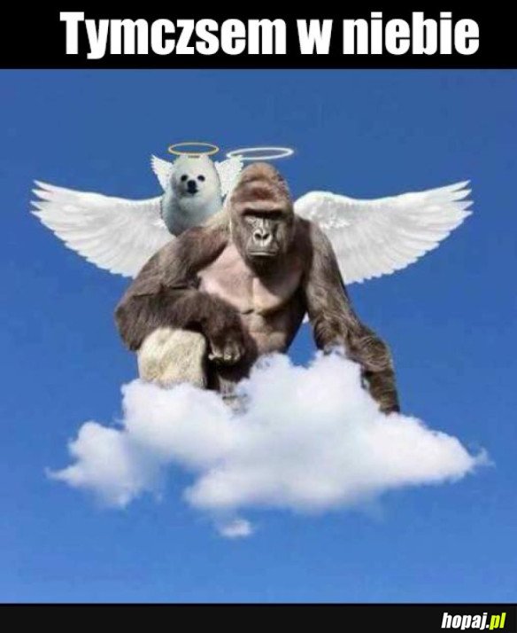 ŻYCIE PO ŚMIERCI