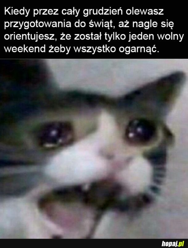 Omatkobosko