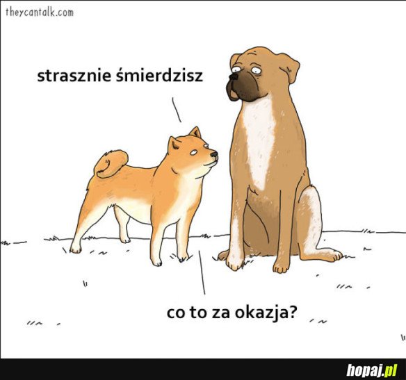 PIESKIE ŻYCIE