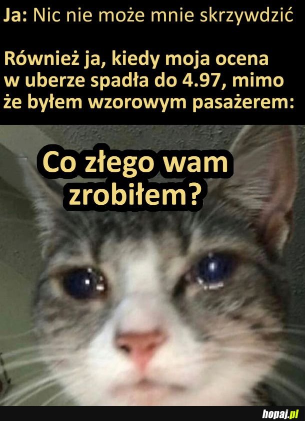 Co złego wam zrobiłem?