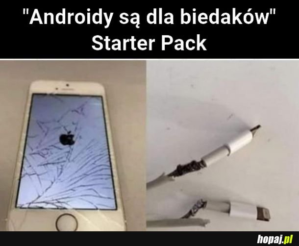 Bogactwo