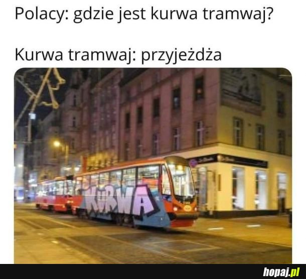 Szach mat
