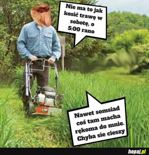 Poranek...