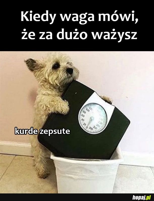  Zepsuta waga 