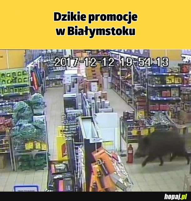 Tymczasem na podlasiu