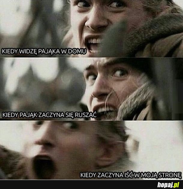 Pająk