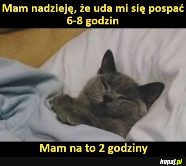 8 godzin w 2 godziny