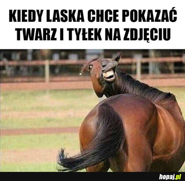 LASKI TAKIE SĄ