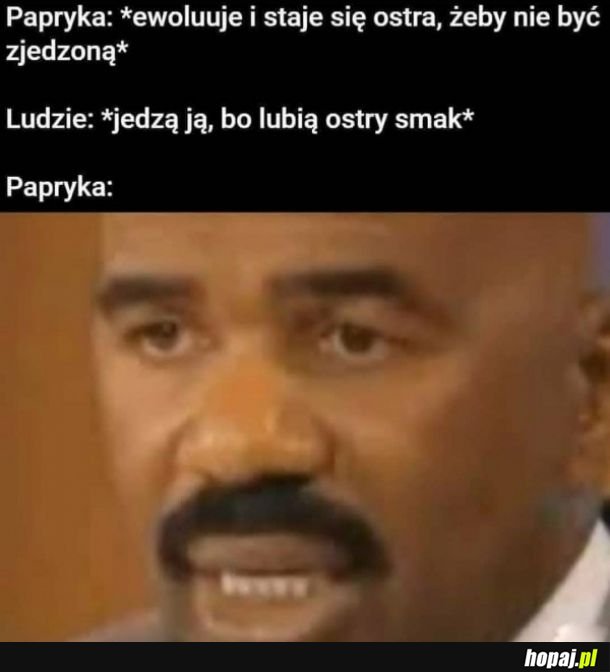 Papryka