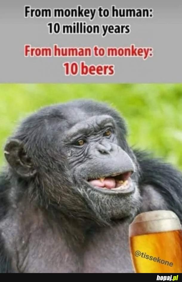 Tak bywa