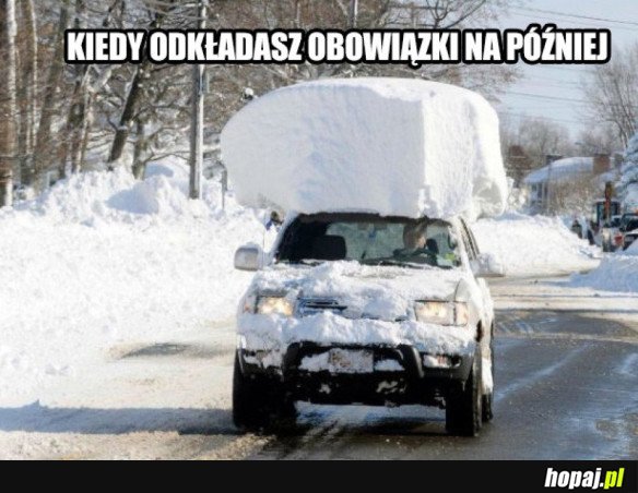 Dużo na głowie