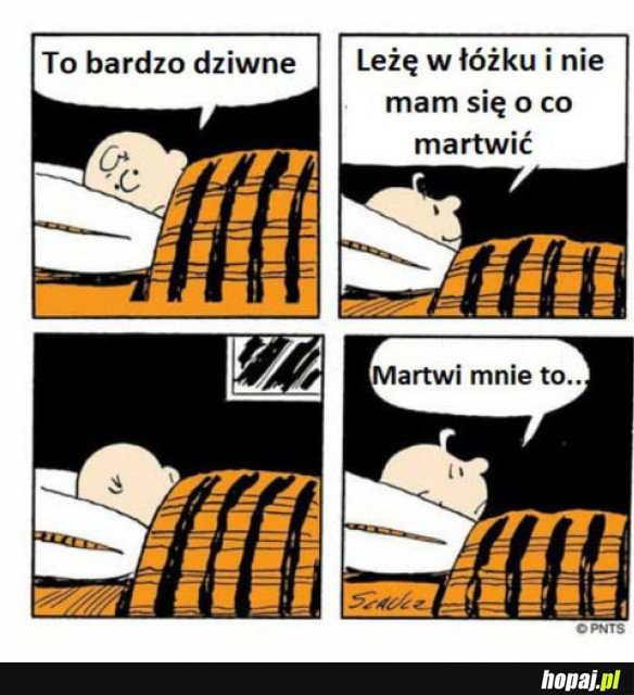 MARTWI MNIE BRAK ZMARTWIEŃ