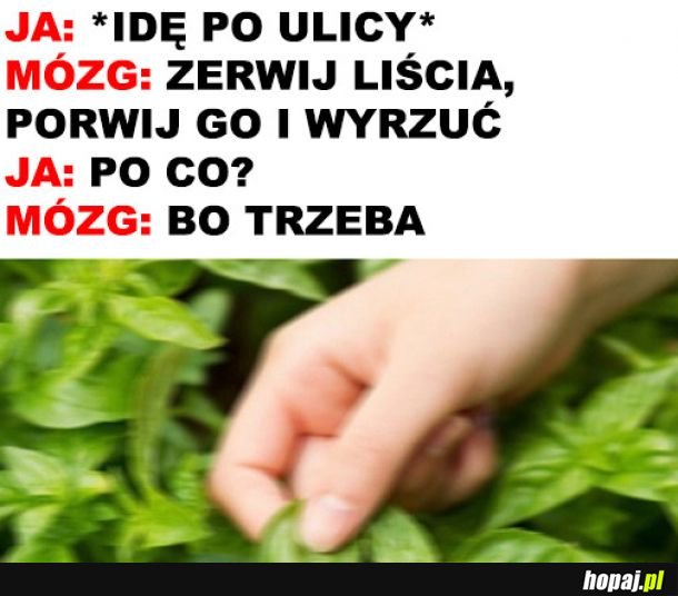  Trzeba i już 