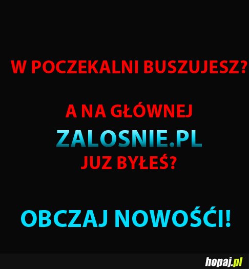 Zalosnie