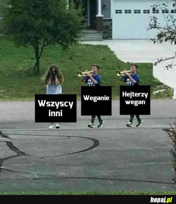 Internet w pigułce