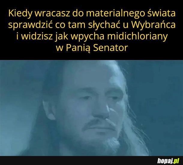 Qui Gon na dziś