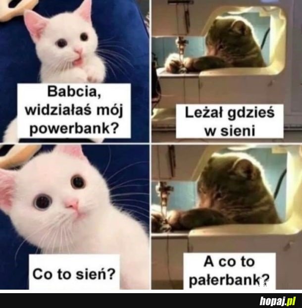 I się dogadali xd