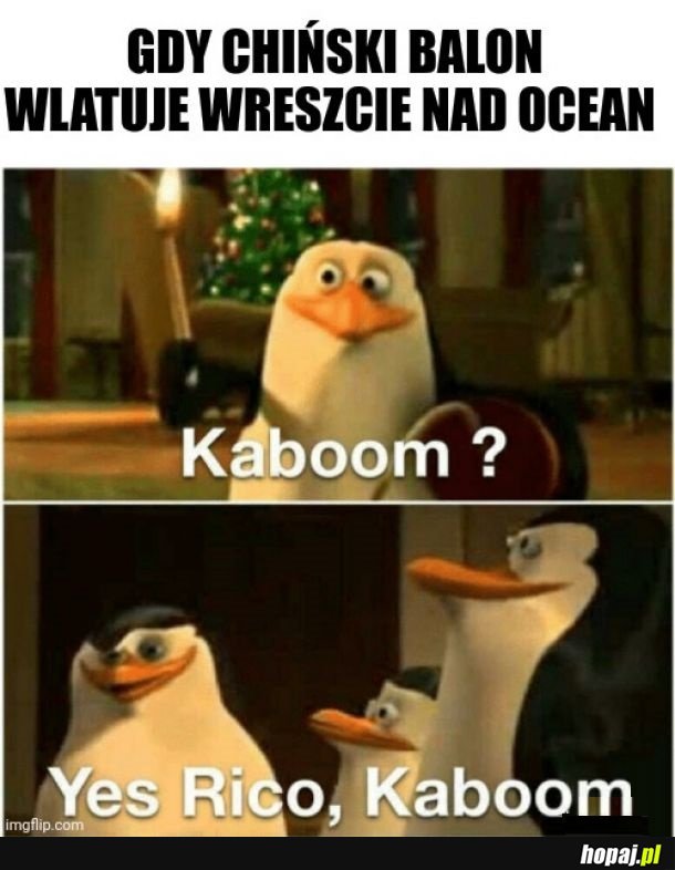 Niech ich szlag