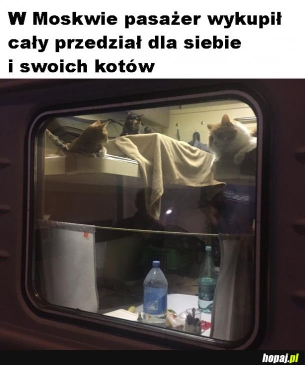 Słodkie