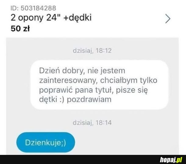 Poprawna polszczyzna