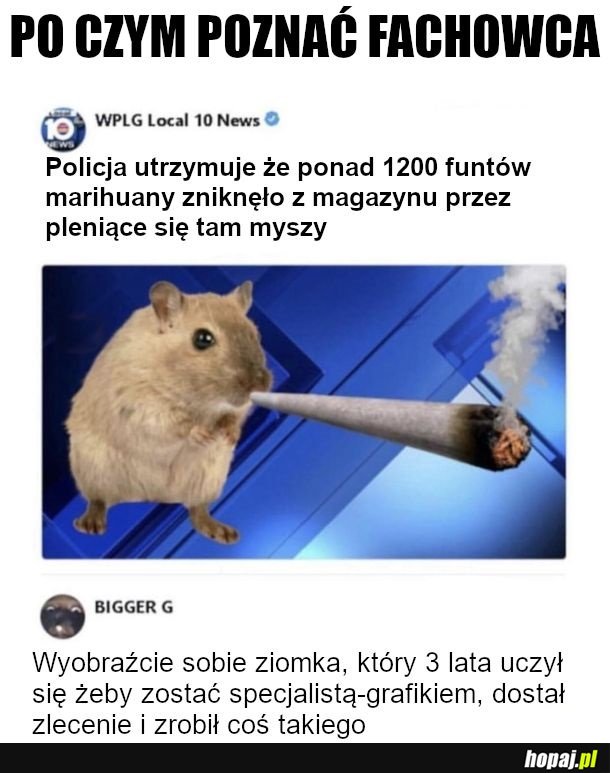 A gdzie ziolo, myszy zjadły