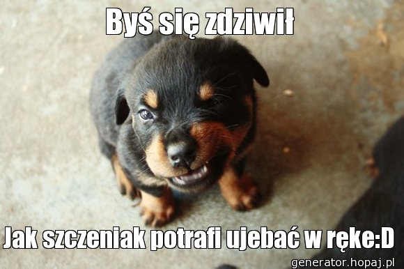 Byś się zdziwił