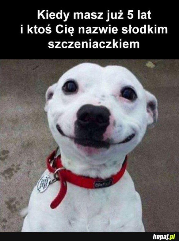 UROCZE