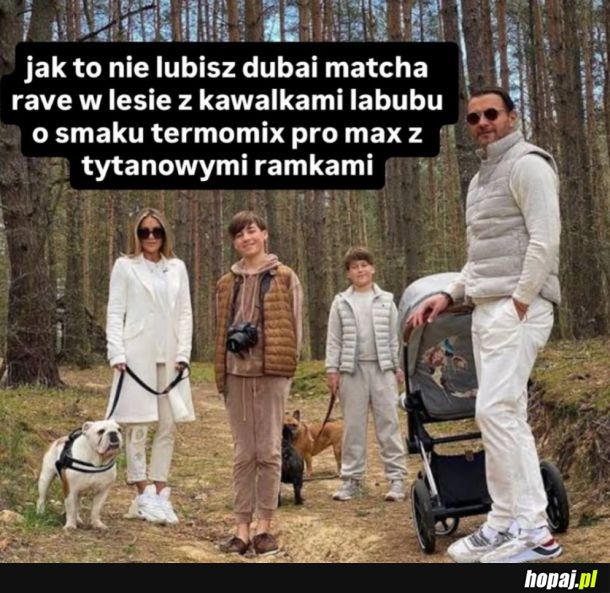 Takie tam w lesie