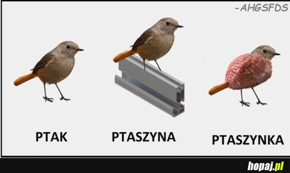 PTAK