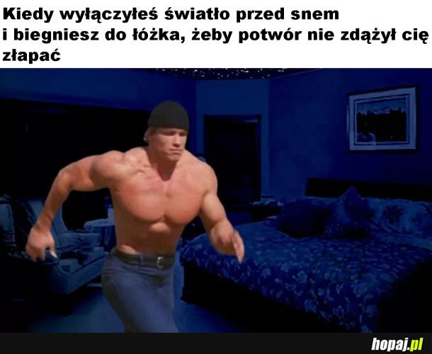 Szybkość