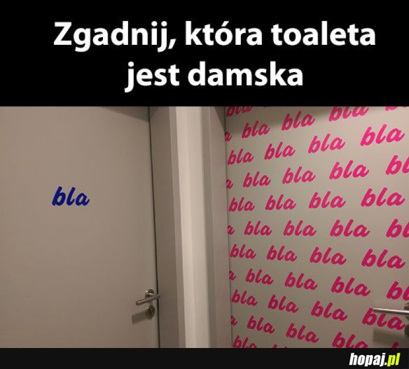 ZGADUJ ZGADULA
