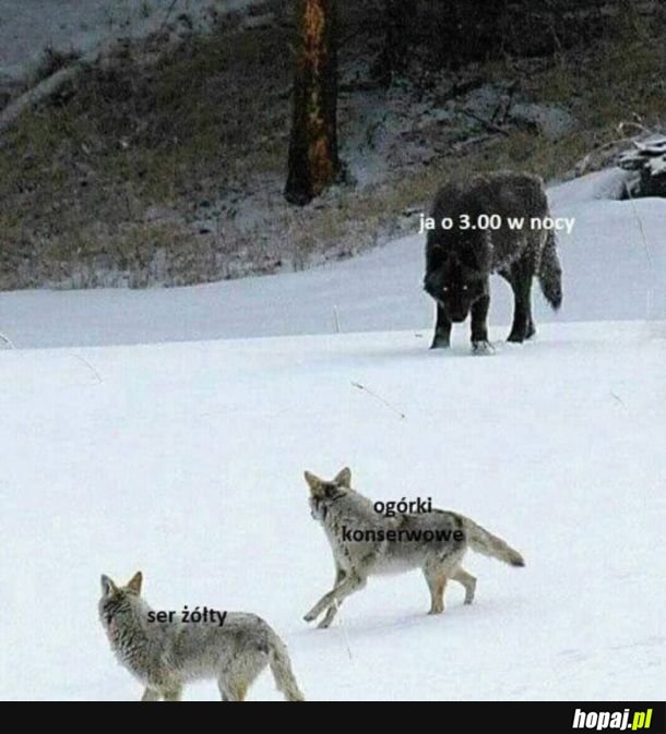 Ja o 3 w nocy 