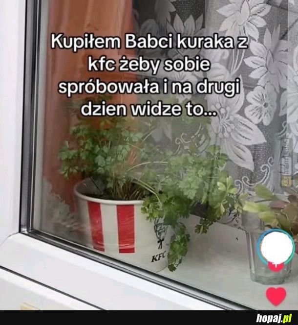 Doniczka premium