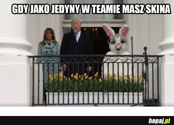 Bogacz się znalazł