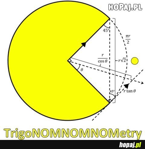 Trigonomnomnometry