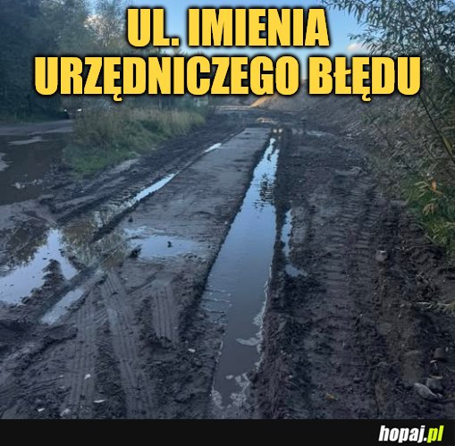 Prezydent miał otworzyć ulicę, której nie ma. Urzędnicza wpadka w Gdańsku.