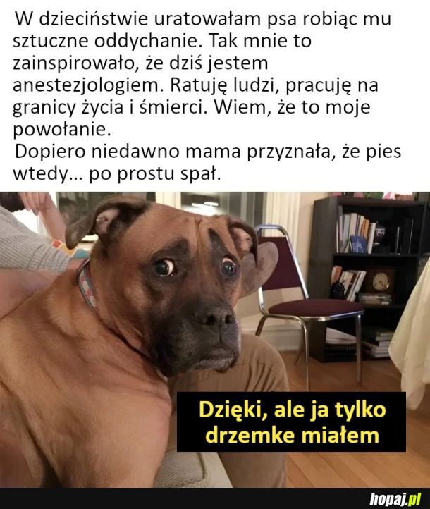 Odnalazła swoje powołanie