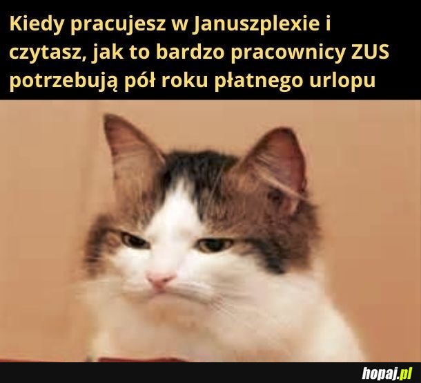 Fajnie