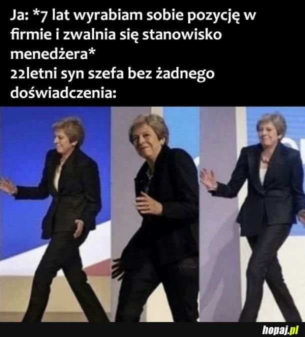 7 lat doświadczenia