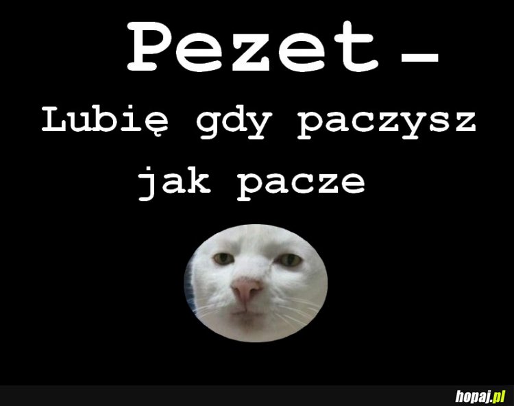 Paczenie . 